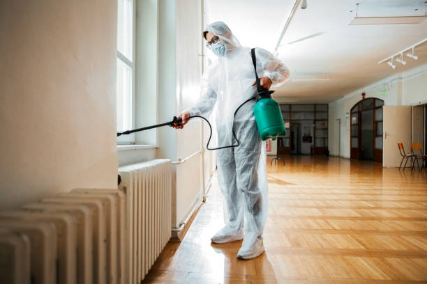 Wildlife Control Services in Running Springs, CA