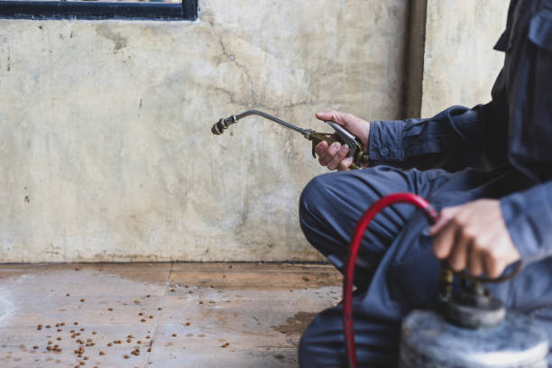Best Wasp Removal Services  in Running Springs, CA