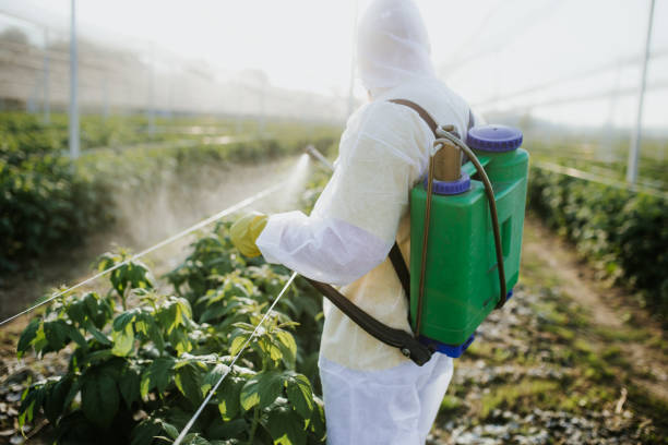 Professional Pest Control in Running Springs, CA